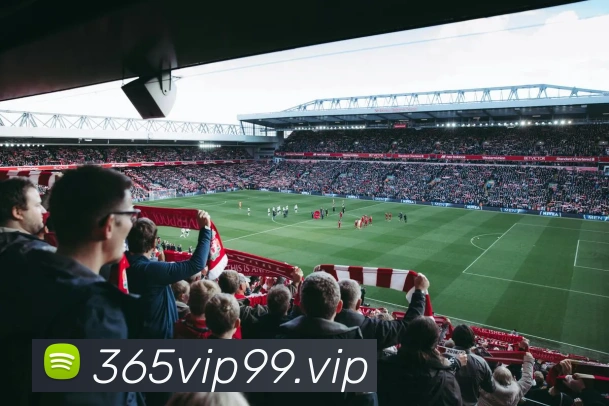 bet365APP 高清赛事图